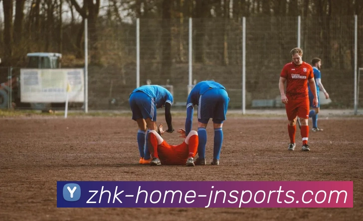 江南体育APP下载平台生态图